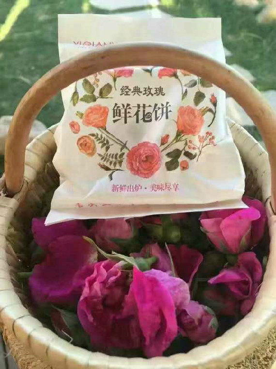 ManBetX(万博体育)APP官网|英超狼队和水晶宫全球赞助同伴