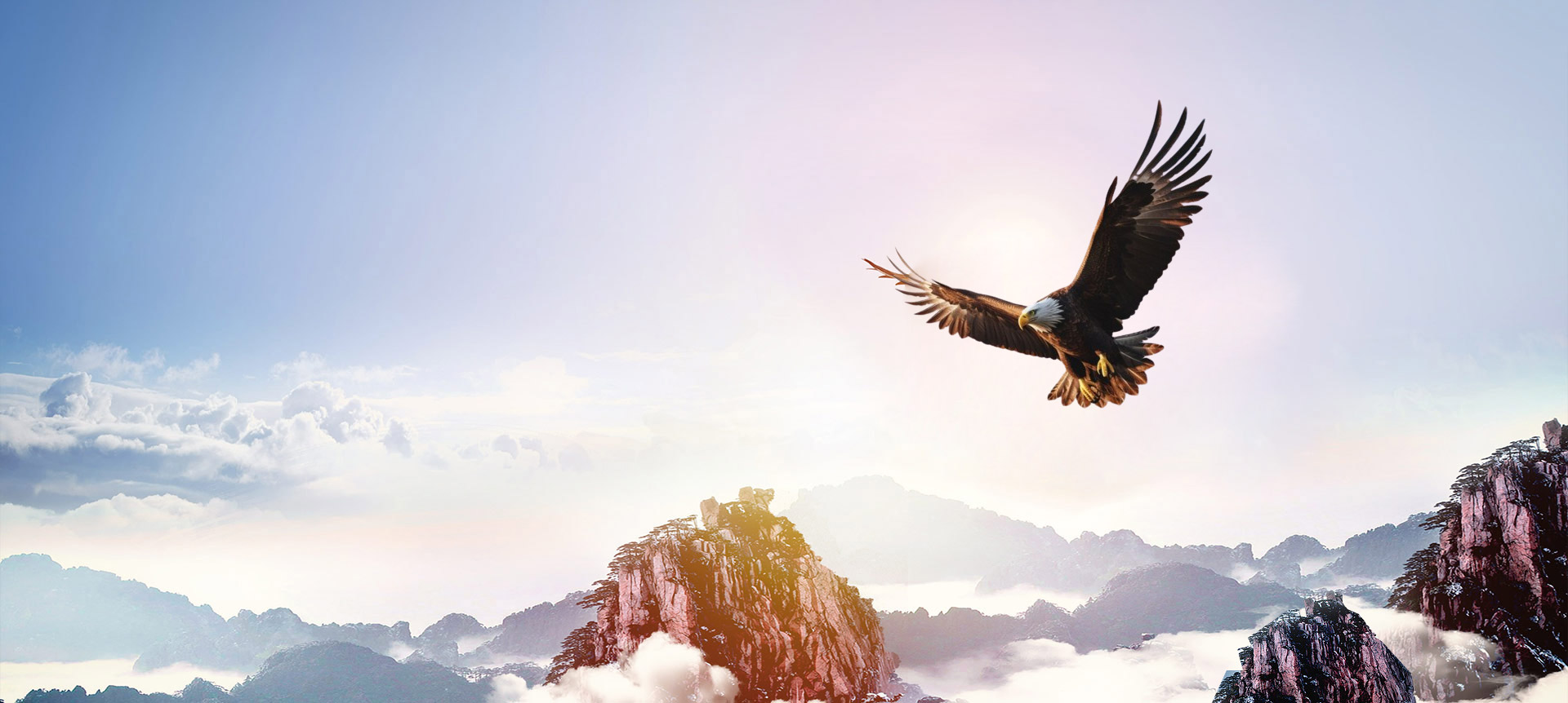 ManBetX(万博体育)APP官网|英超狼队和水晶宫全球赞助同伴