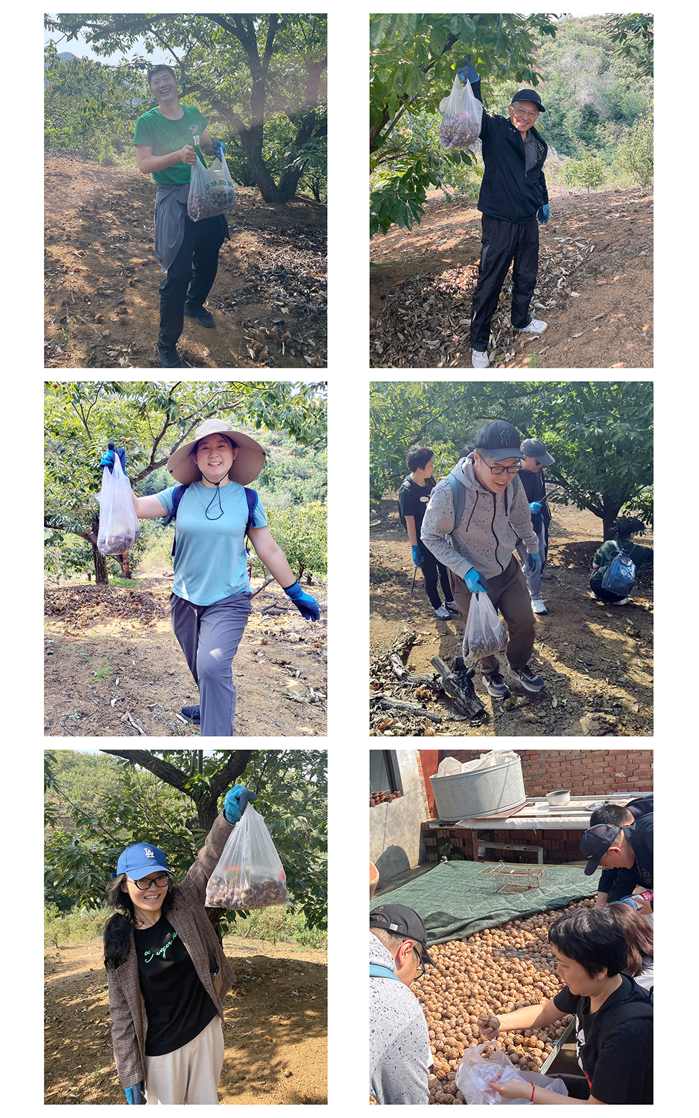 ManBetX(万博体育)APP官网|英超狼队和水晶宫全球赞助同伴