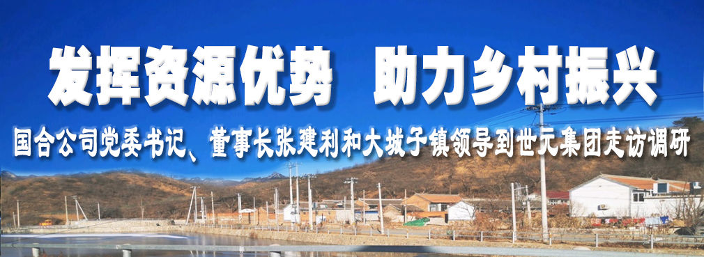 ManBetX(万博体育)APP官网|英超狼队和水晶宫全球赞助同伴