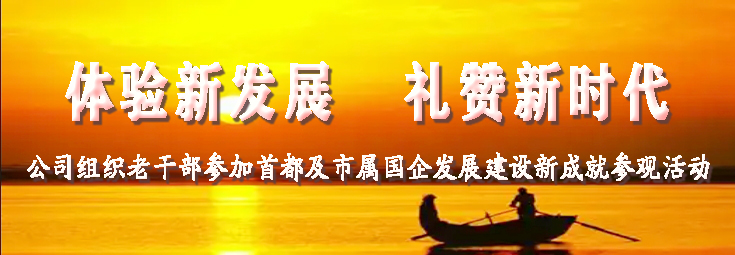 ManBetX(万博体育)APP官网|英超狼队和水晶宫全球赞助同伴