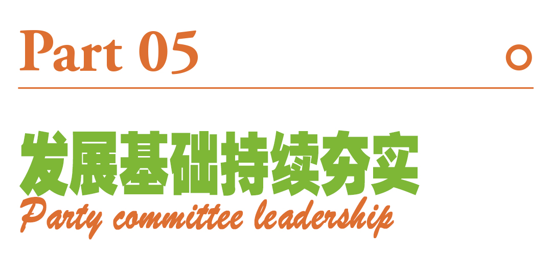 ManBetX(万博体育)APP官网|英超狼队和水晶宫全球赞助同伴